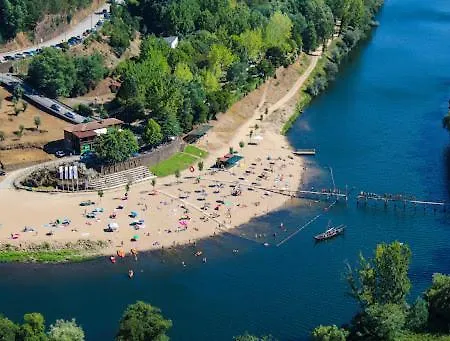 Edu Mondego *